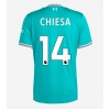 Liverpool Federico Chiesa #14 Tredje Kläder 2025-26 Kortärmad